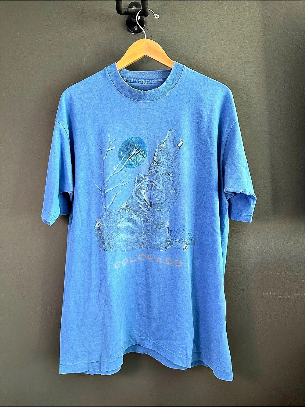 Colorado Graphic T-Shirt in Blue